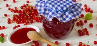 3 mga recipe para sa pitted red currant jelly para sa taglamig