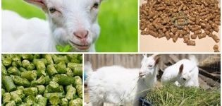 Keçiler için karma yem bileşimi ve elle pişirme kuralları, depolama