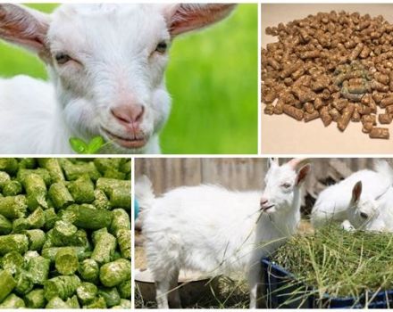 Sastav miješane hrane za koze i pravila kuhanja vlastitim rukama, skladištenje