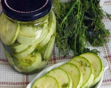 TOP 13 ricette per preparare zucchine giovani in salamoia per l'inverno
