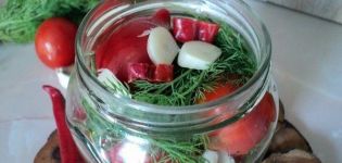 16 beste recepten voor het maken van gepekelde hete tomaten voor de winter