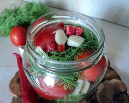 16 labākās receptes marinētu karstu tomātu pagatavošanai ziemai