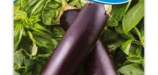 Description of the variety of eggplant Universal 6, features of cultivation and care