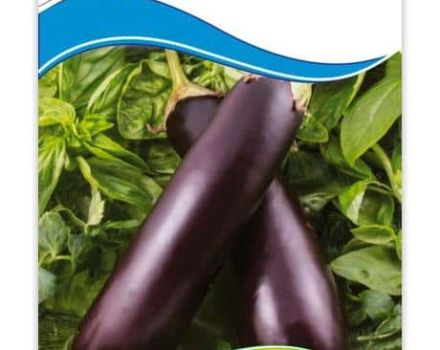 Beskrivning av variationen av aubergine Universal 6, funktioner för odling och vård