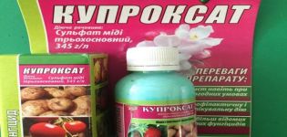 Cuproxat mantar ilacı kullanımı için talimatlar