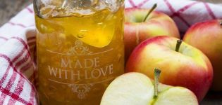 9 bästa steg-för-steg-recept för äpplegelé med och utan gelatin för vintern