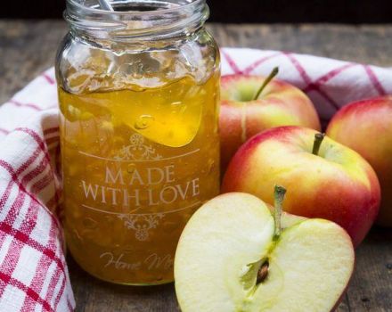 9 labākās soli pa solim receptes ābolu želejai ar un bez želatīna ziemai