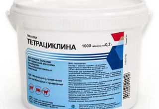 Top 10 des préparations de tétracycline pour animaux et mode d'emploi