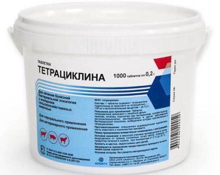 Top 10 tetracycline preparations for animals and instructions for use