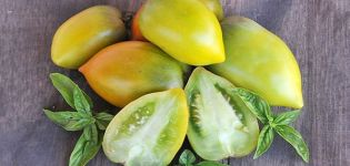 Descripción de la variedad de tomate Chile Verde, características de cultivo y cuidados