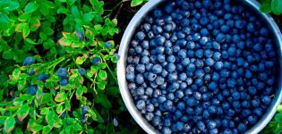 Recipe on how to cook blueberry jam for the winter so that it is as fresh