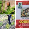 Instructions for using the remedy for the Colorado potato beetle Sonnet