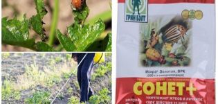 Instructions for using the remedy for the Colorado potato beetle Sonnet