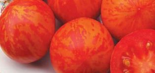 Beschrijving van het tomatenras Grouse, zijn kenmerken en teelt