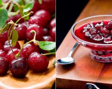 Step-by-step recipe for making cherries in jelly with gelatin for the winter
