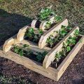 How to make a pyramid bed for strawberries with your own hands, sizes and cultivation