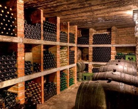 قواعد وشروط تخزين النبيذ محلي الصنع ، واختيار الحاويات ودرجات الحرارة