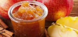 Ātra recepte ābolu ievārījuma šķēļu pagatavošanai ziemai