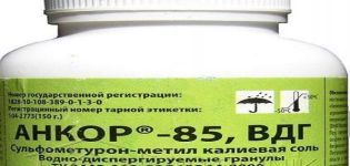 Mga tagubilin para sa paggamit ng herbicide Ankor 85, mekanismo ng mga rate ng pagkilos at pagkonsumo