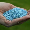 Cosa si riferisce ai fertilizzanti al fosforo: i loro tipi e nomi