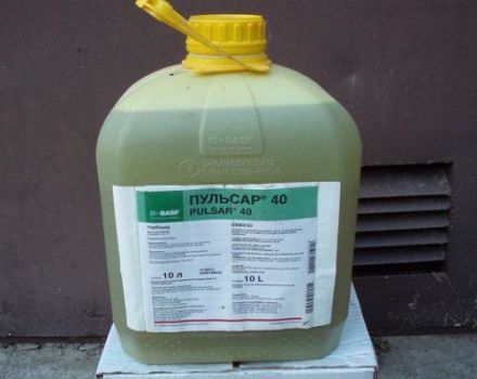 Instrucciones de uso del herbicida Pulsar, composición y forma de liberación del producto.