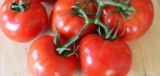 Blagovest-tomaattilajikkeen ominaisuudet ja kuvaus, sen sato