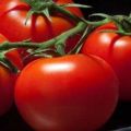 Pomidorų veislių aprašymas ir savybės 100 proc. F1