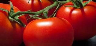 Description et caractéristiques des variétés de tomates 100 pour cent f1