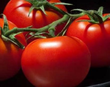Descripción y características de las variedades de tomate 100 por ciento f1