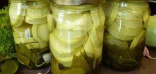 8 best recipes for sweet pickled zucchini for the winter
