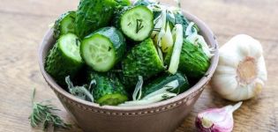 TOP 10 heerlijke recepten voor het snel beitsen van komkommers voor de winter