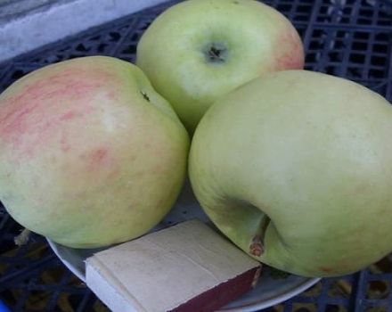 Opis odrody jabĺk Phoenix Altai, výhody a nevýhody, výnos
