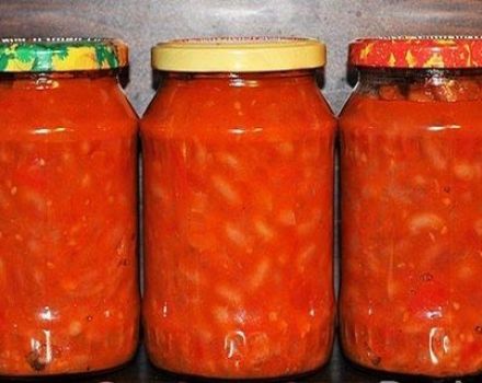 Rezepte zum Einmachen von Bohnen in Tomaten für den Winter wie im Laden