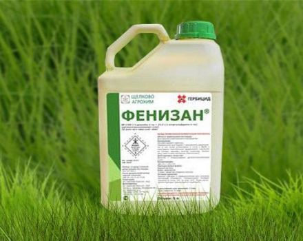 Instructions for the use of the herbicide Fenisan, mechanism of action and consumption rates