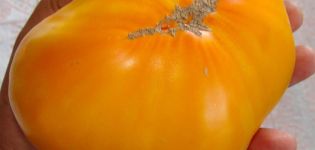 Caratteristiche e descrizione della varietà di pomodoro King of Siberia, la sua resa