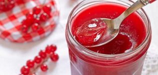 10 madaling sunud-sunod na mga recipe para sa pulang jelant jelly para sa taglamig