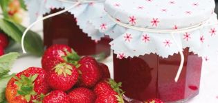 22 meilleures recettes de confiture de fraises étape par étape pour l'hiver
