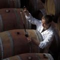 Por qué el vino casero puede tener un sabor amargo y las mejores formas de arreglarlo