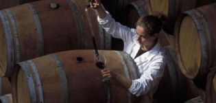 Zašto domaće vino može okusiti gorak i najbolje načine popraviti ga