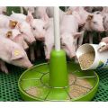 Samenstelling en instructies voor het gebruik van BMVD voor het voeren van varkens, hoe u het zelf moet doen