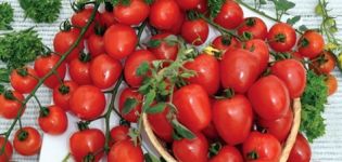 Braškinių pomidorų veislės charakteristikos ir aprašymas, derlius