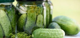 Hoeveel dagen kunnen ingelegde komkommers na het koken worden gegeten?