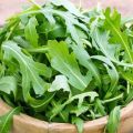 Az évelő sült saláta kitûnõ fajták és fajták a nyitott talajban és az üvegházakban történõ termesztéshez, különös tekintettel az ültetésre és a növények gondozására