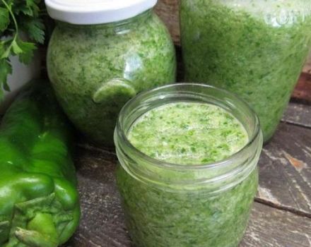 13 millors receptes per fer adjika verda per a l’hivern