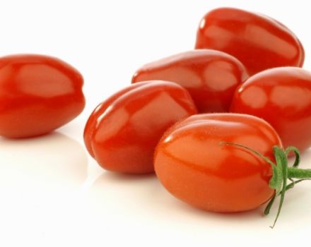 Produttività, caratteristiche e descrizione della varietà di pomodoro Gallo rosso
