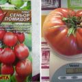 Domates çeşidinin tanımı Senior domates ve verimi