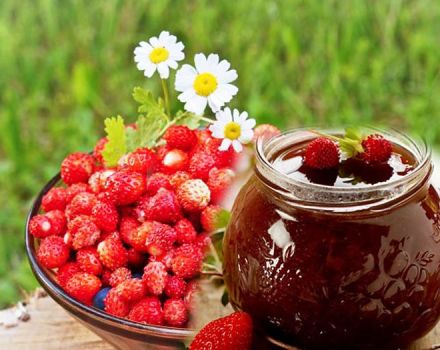 14 pinakamahusay na mga recipe para sa paghahanda ng mga ligaw na strawberry para sa taglamig