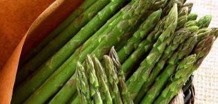 Wat is asperges, de soorten en waar het groeit, de voordelen en nadelen