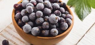 Hur man snabbt kan rensa svarta vinbär från svansar och kvistar, lagringsmetoder och regler
