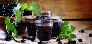 10 einfache Schritt-für-Schritt-Rezepte mit hausgemachten schwarzen Johannisbeeren